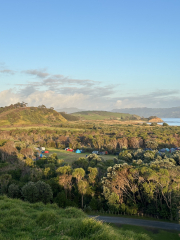 Year 10 Camp at Tāwharanui Regional Park